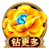 7月26日20:00中超联赛第18轮 深圳新鹏城VS云南玉昆